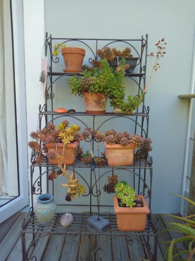 Crescent Cottage Knysna Luaran gambar